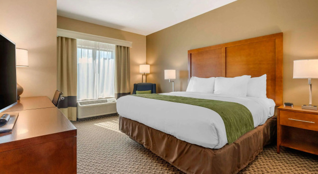 Двухместный номер Standard Comfort Inn & Suites Florence Center Area