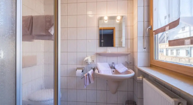 Двухместный номер Economy Landhotel Zum Goldenen Kreuz