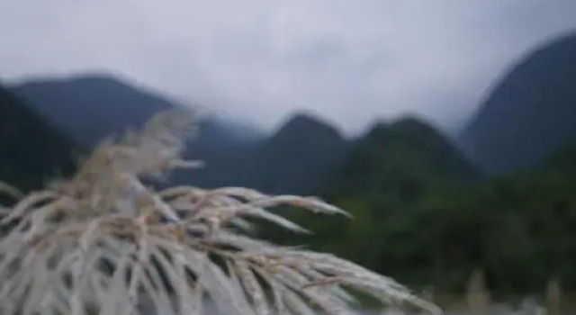 SongYue Homestay