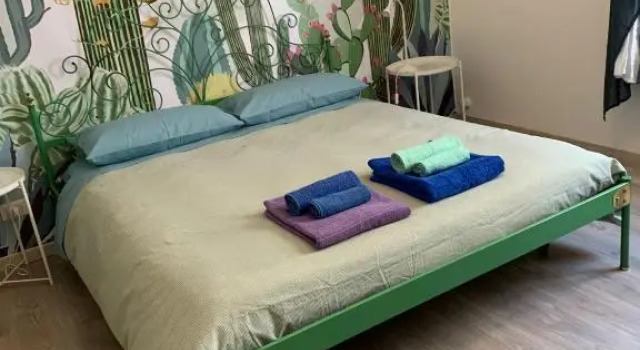 Il Cactus