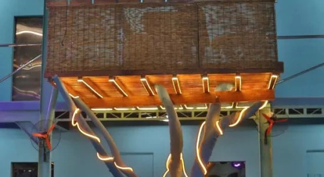 Кровать в общем номере (женский номер) partylandia hostel
