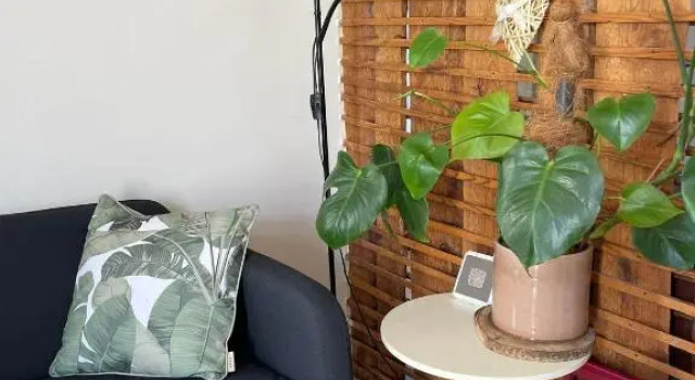 Апартаменты House Bairro Estrela D`Ouro