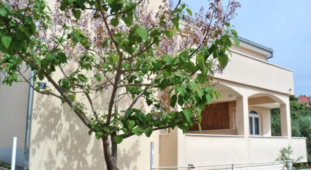 Apartments & Rooms Lijepa, Забронировать Апартаменты/квартира Округ-Горнджи 