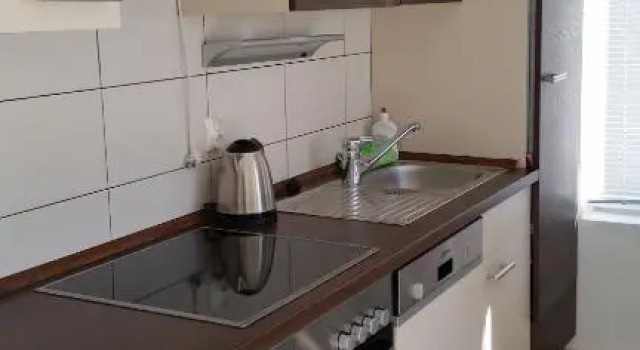Apartment Sajković