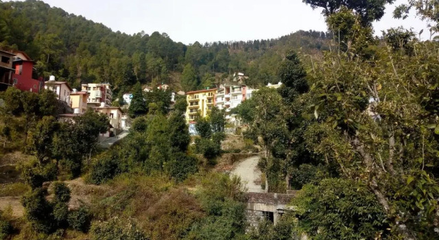 Nature View Penthouse - Bhowali