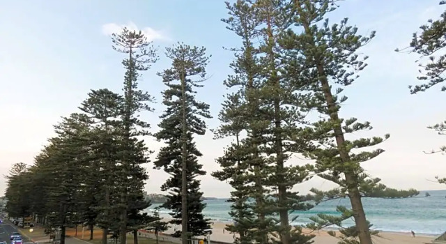 Двухместный номер Standard с видом на море Stay at Hotel Steyne