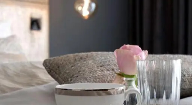THE Newsha Signature Home