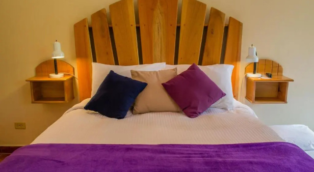 Номер Standard The Inn at Palo Alto