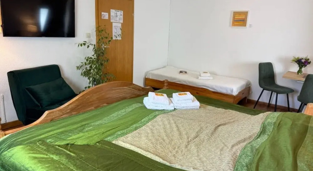 Номер Classic Rhein River Guesthouse - direkt am Rhein