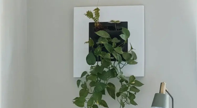 Номер Standard Luna House & Cowork