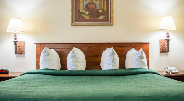 Standard Doppel Zimmer Quality Inn
