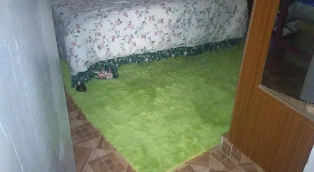 Viv Haven, Prenota Appartamento Nairobi CBD Nairobi