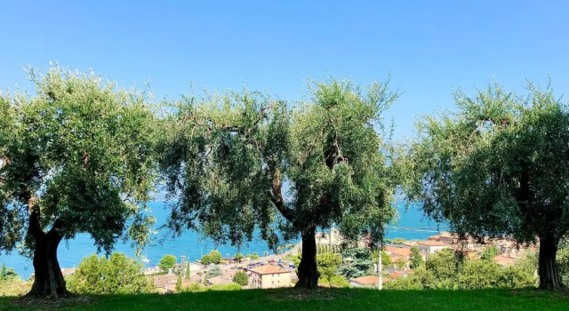 Апартаменты Cosy Torri Apartments