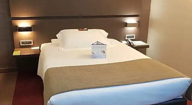 Номер Comfort Best Western Plus Hotel Monza e Brianza Palace