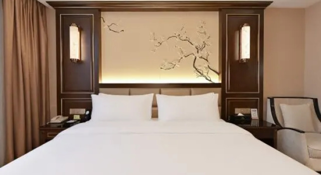Люкс Business Vienna International Hotel Jilin Changchun People's Square