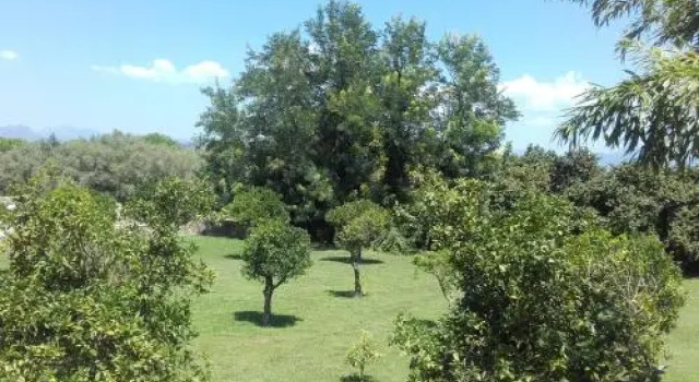 Masseria Casella, Book Hotel Hoteller i Salerno med parkering, Parkering