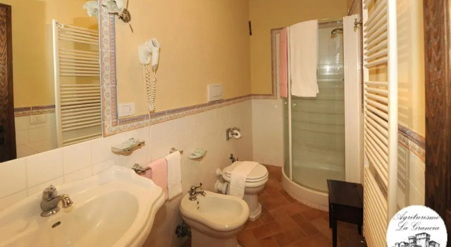 Номер Standard Agriturismo Castello La Grancia di Spedaletto