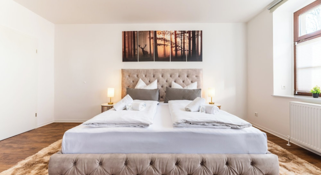 Двухместный номер Comfort Vita Aurum Elbe-Apartments Neustadt