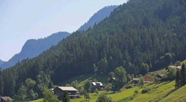 Одноместный номер Standard с видом на горы Hotel - Restaurant Gosauerhof