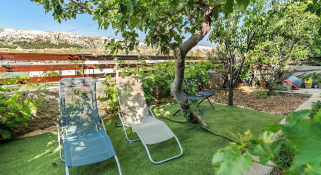 Апартаменты Apartments Jelica