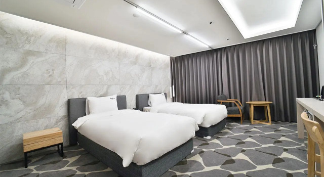 Deluxe dublă cameră Haydn Hotel