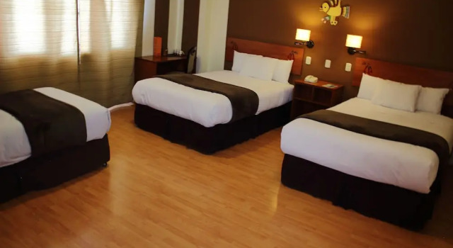 Camera Standard Intiqa Hotel