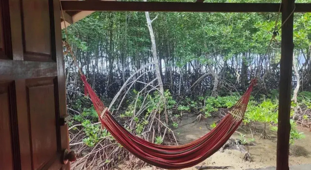 Семейный номер Standard с видом на море Bananas Bungalows