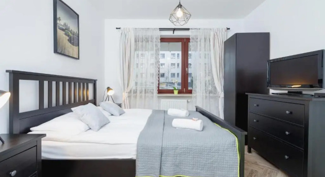 Premium Apartment Ludwinowska by Renters
