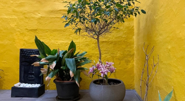 Valletta Collection - Merchant Str Apartment with large yard