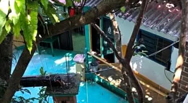 Hotel Posada de los Sabinos, Réserver Hôtel Ocozocoautla Chiapas