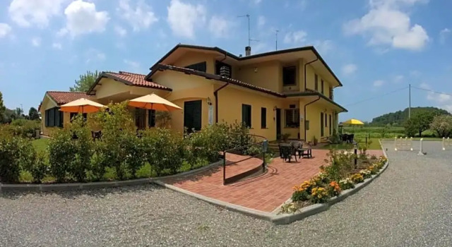 Cecco Di Nara