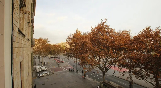 Apartament Colon Bcn 130 mts 2 Dormitorios Port Vell, Забронировать Апартаменты/квартира Барселона провинция Барселона, рядом с Приход Св. Августина