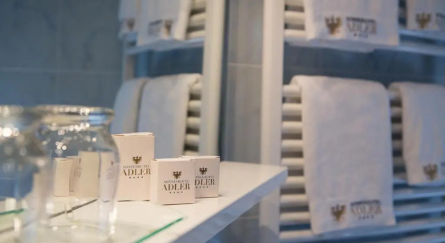 Двухместный номер Standard с видом на сад Sonnenhotel Adler Spa & Nature Adults only