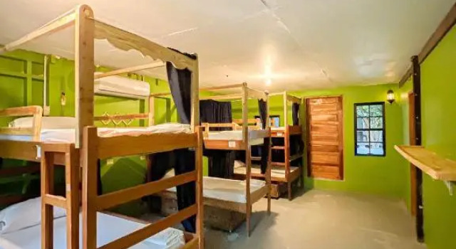 Кровать в общем номере Bellas Backpackers Hostel