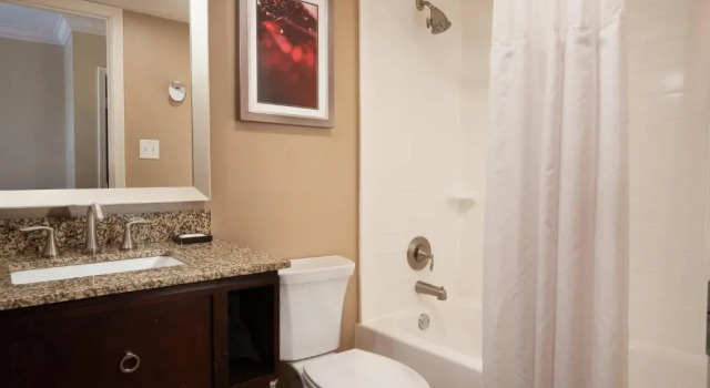 Двухместный номер Standard с балконом Delta Hotels by Marriott Orlando Lake Buena Vista
