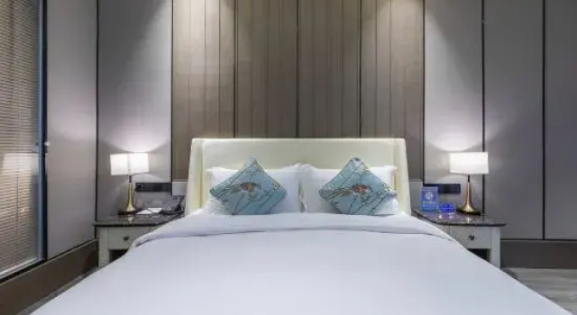 Двухместный номер Standard с видом на город Elite Polink Global Hotel
