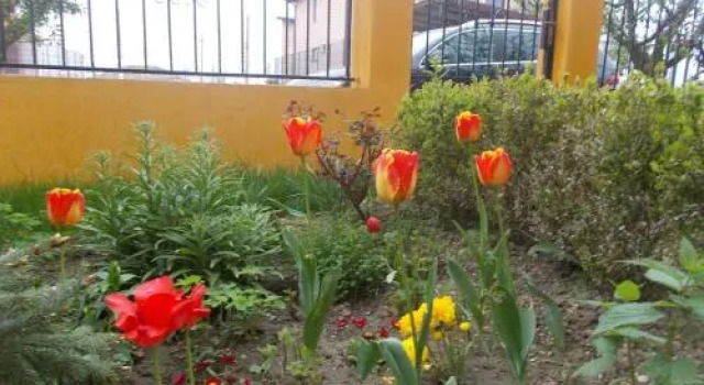 Vila Ciobanel