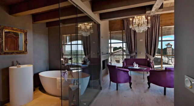 Номер Deluxe La Vella Farga Hotel