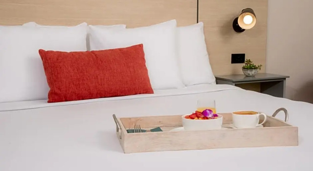 Двухместный номер Superior с видом на сад Hyatt Centric San Juan Isla Verde