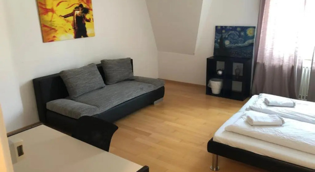 Двухместный номер Standard с видом на город ZüriZimmer