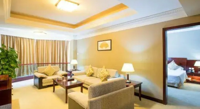 Люкс Business White Dolphin Hotel - Qinzhou