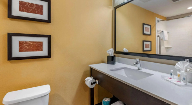 Четырёхместный люкс Comfort Suites Fort Lauderdale Airport South & Cruise Port