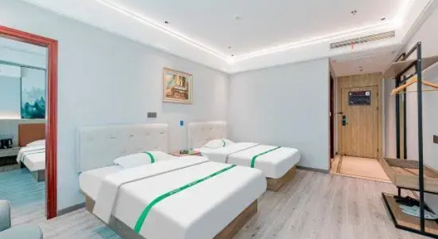 Люкс Business GreenTree Inn Express Hotel (Wenzhou South Station Garden Expo Park)