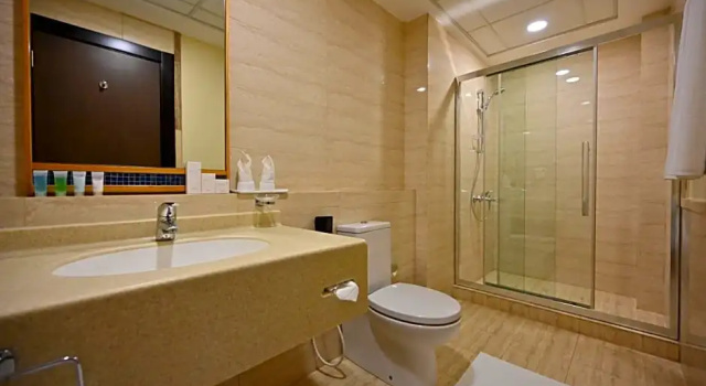 Двухместный номер Deluxe Harbour Suites Hotel