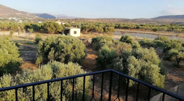 Olive grove with sea view, 20' walk to the beach, Забронировать Отель Гуве Центральный Крит