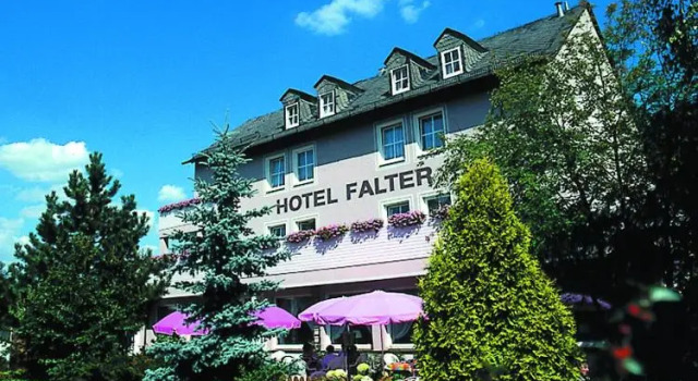 Номер Standard Hotel Falter
