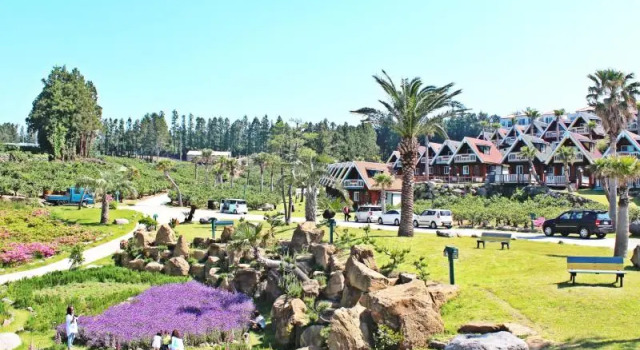 Номер Standard Jungmun Log Pension & Resort