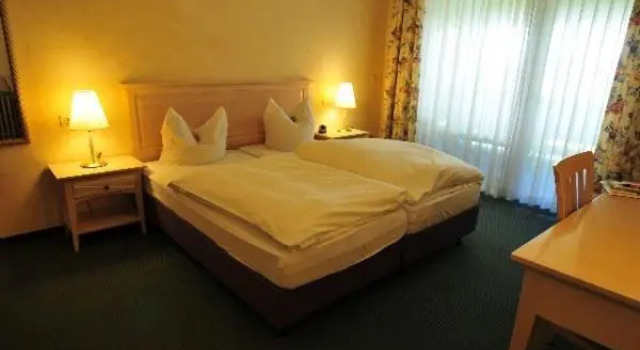 Одноместный номер Standard Hotel Tannenhof