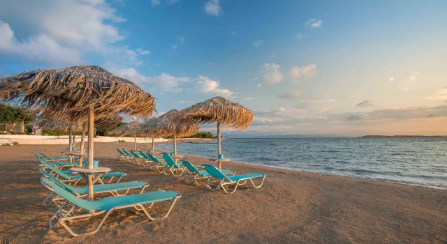 Двухместный номер Superior Oasis Beach Hotel