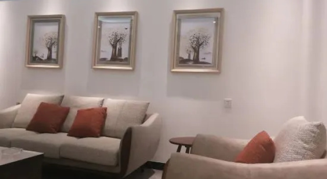 Люкс с 2 комнатами Altai Taimei Hotel